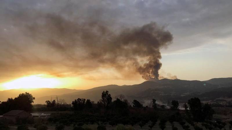 Dozens dead as forest fires spread in northern Algeria