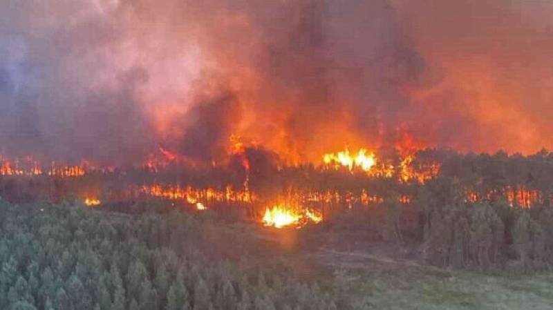 Two fires in SW France burn 1,200 hectares of forest land