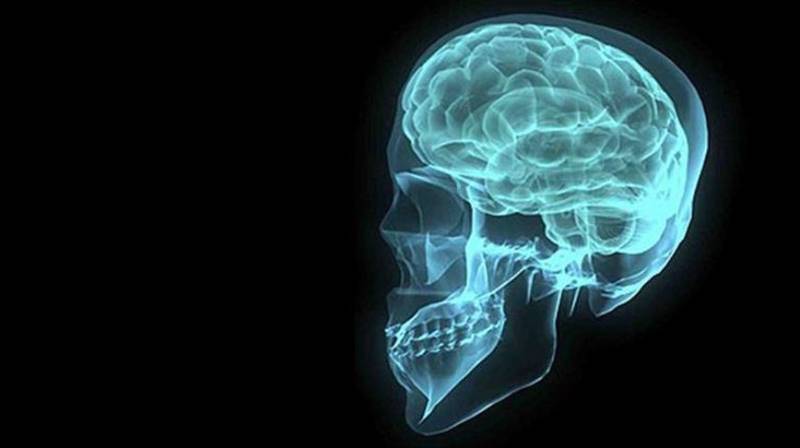 Scientists find potential new organs inside human head