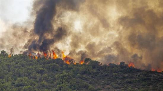 Europe suffers record wildfire destruction this year: Data