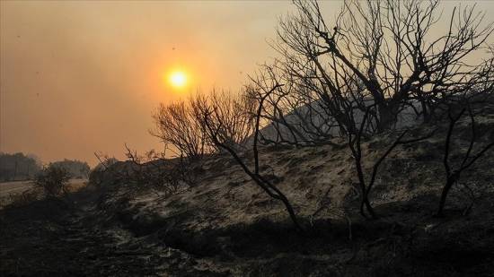 Wildfires ravaging forestlands in many parts of globe