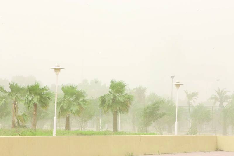Strong winds blow dust, locusts into Kuwait