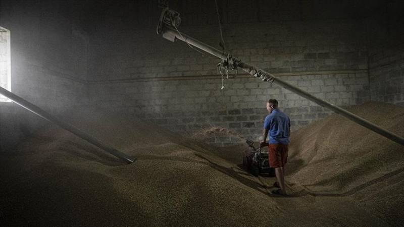 Ukrainian farmers struggle to sell wheat left in stocks due to war