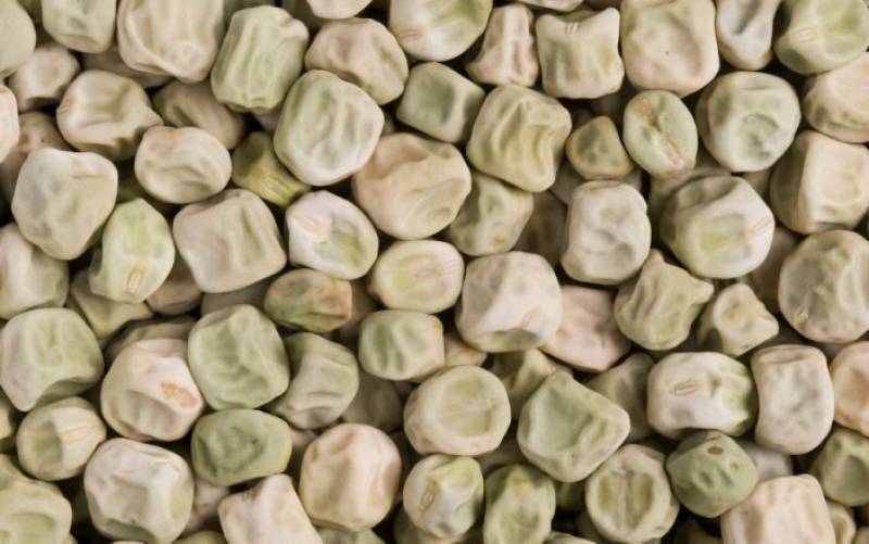 'Super pea' could reduce risk of Type 2 diabetes, researchers find