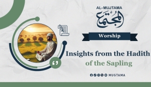 Insights from the Hadith of the Sapling